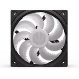 ENDORFY Fluctus 120 PWM ARGB, Ventola Nero/trasparente