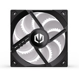 ENDORFY Fluctus 120 PWM ARGB, Ventola Nero/trasparente