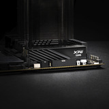 ADATA DIMM 16 GB DDR5-6000, Memoria Nero