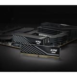 ADATA DIMM 16 GB DDR5-6000, Memoria Nero