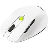 ASUS MD105, Mouse bianco/Verde