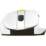 ASUS MD105, Mouse bianco/Verde