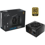 FSP VITA GM 750W alimentatore per computer 20+4 pin ATX ATX Nero, Alimentatore PC Nero, 750 W, 100 - 240 V, 50/60 Hz, 10-5 A, Attivo, 100 W