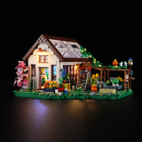 Lumibricks Serra domestica, Giochi di costruzione 