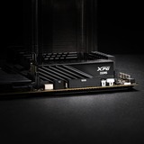 ADATA DIMM 32 GB DDR5-6000 (2x 16 GB) Dual-Kit, Memoria Nero