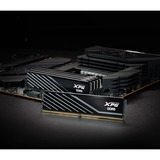 ADATA DIMM 32 GB DDR5-6000 (2x 16 GB) Dual-Kit, Memoria Nero