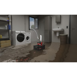 EINHELL Set di allagamento GE-DP 7535 N LL ECO, Pompe immersione e pressione rosso/Nero