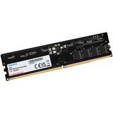 ADATA DIMM 8 GB DDR5-5600, Memoria Nero, 8 GB, 1 x 8 GB, DDR5, 5600 MHz, 288-pin DIMM