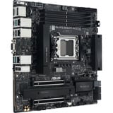 ASUS PRO WS B850M-ACE SE, Scheda madre 