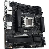 ASUS PRO WS B850M-ACE SE, Scheda madre 