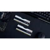 G.Skill DIMM 64 GB DDR5-6400 (2x 32 GB) Dual-Kit, Memoria argento/Nero