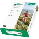 Inapa Recyconomic Classic bianco A3, Carta 