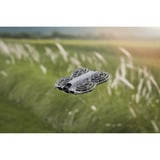 DJI Neo 2 Motion Fly More Combo, Drone grigio