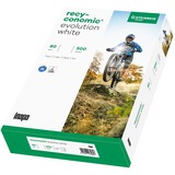 Inapa Recyconomic Evolution bianco A3, Carta 