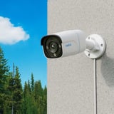 Reolink P340 (nuova versione), Telecamera di sorveglianza bianco/Nero