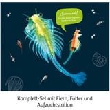 KOSMOS 65787 Set da gioco, Casella di esperimento Realtà aumentata, 8 anno/i, Multicolore