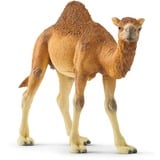 Schleich WILD LIFE Dromedario, Gioco figura 3 anno/i, Safari, Wild animals / adventure toys, Multicolore, Plastica, 1 pz