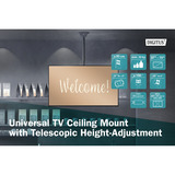 Digitus Supporto universale da soffitto per TV con regolazione telescopica dell'altezza Nero