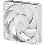 ARCTIC P12 Pro PST, Ventola bianco
