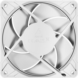 ARCTIC P12 Pro PST, Ventola bianco