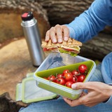 Emsa 518104 recipiente per cibo 0,85 L Trasparente 1 pz, Scatola per il pranzo verde chiaro/trasparente, 0,85 L, Trasparente, Polipropilene (PP), Elastomero Termoplastico (TPE), Germania, 163 mm, 163 mm