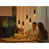 Philips Hue White & Color Ambiance Lightguide Triangle - Lampada smart E27, Lampada a LED Philips Hue White and Color ambiance Triangle - lampadina connessa E27, Bluetooth/Zigbee, LED, E27, 2000 K, 6500 K, 500 lm