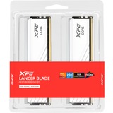 ADATA LANCER BLADE RGB DDR5 memoria 64 GB 2 x 32 GB 288-pin DIMM Data Integrity Check (verifica integrità dati) bianco, 64 GB, 2 x 32 GB, DDR5, 6000 MHz, 288-pin DIMM