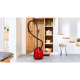Bosch Serie 4 BGD38RD1H aspirapolvere a traino 4 L Aspiratore a cilindro Secco 600 W Sacchetto per la polvere rosso, 600 W, Aspiratore a cilindro, Secco, Sacchetto per la polvere, 4 L, Micro