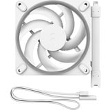 Fractal Design Momentum 12 RGB, Ventola bianco
