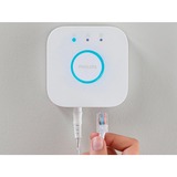 Philips Hue Bridge Controlli luce intelligente ad uso doemestico, Stazione base bianco, Philips Hue Bridge, Wireless, ZigBee, Bianco, IP20, 50 lampadina(e), 2400 - 2483,5 MHz