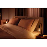 Philips Hue Hue White Ambiance E27 Filament Lampada E27 Globo 550 lm, Lampada a LED Philips G93 Globo - lampadina connessa E27, Lampadina intelligente, Bluetooth/Zigbee, LED, E27, G93, Bianco caldo, Bianco freddo