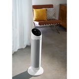 Rowenta Silent Comfort 3-in-1 HQ8120 Interno Argento 2400 W Riscaldatore ambiente elettrico con ventilatore, Termoventilatore bianco, Riscaldatore ambiente elettrico con ventilatore, 1,9 m, IP20, Interno, Pavimento, Argento