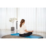 Rowenta Silent Comfort 3-in-1 HQ8120 Interno Argento 2400 W Riscaldatore ambiente elettrico con ventilatore, Termoventilatore bianco, Riscaldatore ambiente elettrico con ventilatore, 1,9 m, IP20, Interno, Pavimento, Argento
