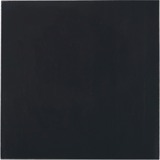 Thermal Grizzly Minus Pad Advance - 100x100x0,5 mm, Pastiglie termiche 