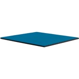 Thermal Grizzly Minus Pad Advance - 100x100x0,5 mm, Pastiglie termiche 