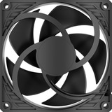 ARCTIC P9 Silent Case per computer Ventilatore 9,2 cm Nero 1 pz, Ventola Nero, Ventilatore, 9,2 cm, 40,7 m³/h, Nero