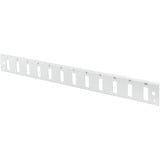 Digitus Pannello frontale LWL 1U con chiusura rapida, 12x SC DX verticale grigio