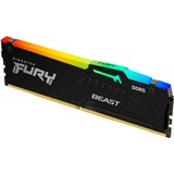 Kingston FURY FURY Beast 32 GB 5600 MT/s DDR5 CL36 DIMM RGB EXPO, Memoria Nero, 32 GB, 1 x 32 GB, DDR5, 288-pin DIMM