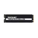 P400 Lite 1 TB, Disco a stato solido