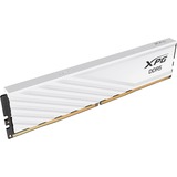ADATA LANCER BLADE DDR5 memoria 16 GB 1 x 16 GB 288-pin DIMM Data Integrity Check (verifica integrità dati) bianco, 16 GB, 1 x 16 GB, DDR5, 6000 MHz, 288-pin DIMM, Bianco