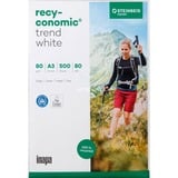 Inapa Recyconomic Trend bianco A3, Carta 