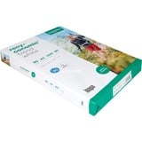 Inapa Recyconomic Trend bianco A3, Carta 