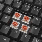 Sharkoon PureWriter W100, Tastiera da gioco Nero