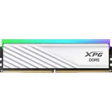 ADATA DIMM 48 GB DDR5-6000 (2x 24 GB) Dual-Kit, Memoria bianco