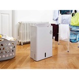 Meaco Deumidificatore DD8L Zambezi, con ionizzatore e nano-filtro bianco