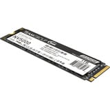 Team Group NV5000 1 TB, Disco a stato solido 
