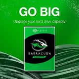 Seagate Barracuda 6TB disco rigido interno 5400 Giri/min 256 MB 3.5" Serial ATA III, Hard-disk 6 TB, 5400 Giri/min, 256 MB, 3.5", Serial ATA III