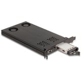 DeLOCK Scheda PCI Express x16 Delock telaio intercambiabile per 2 x M.2 NVMe SSD - Bifurcation, Inquadramento 