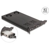 DeLOCK Scheda PCI Express x16 Delock telaio intercambiabile per 2 x M.2 NVMe SSD - Bifurcation, Inquadramento 