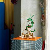 LEGO Pokémon Rayquaza, Giochi di costruzione 
